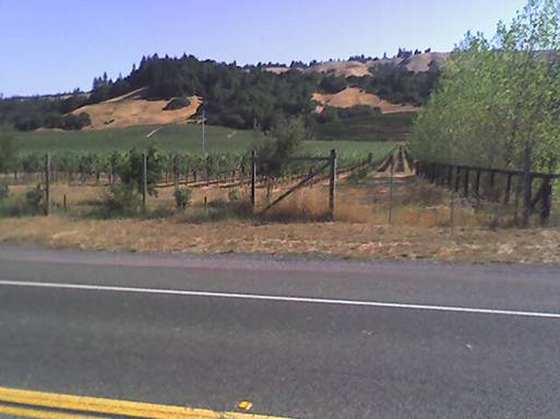 ATT4205468.jpg