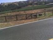 AVwinery-128.jpg